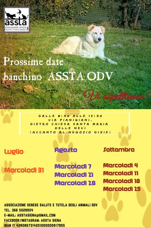 Banchino ASSTA ODV