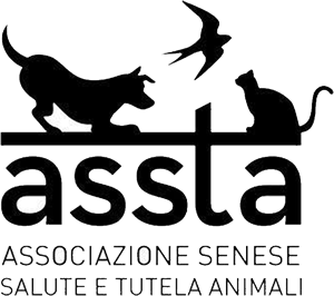 logo ASSTA SIENA ODV